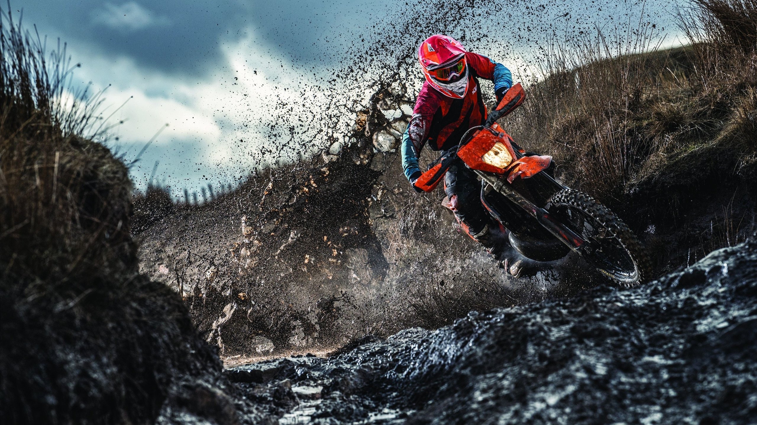 世界青少年运动会彩跑比赛引爆全场，2021世界青少年运动会